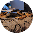 ann B. profile picture